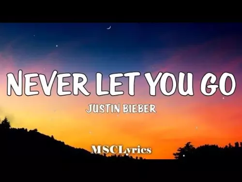justin bieber dj snake never let you go