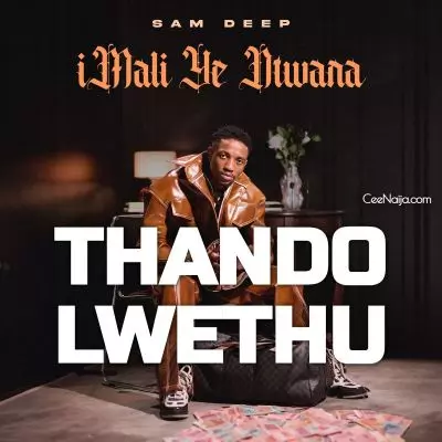 MP3 DOWNLOAD: Sam Deep - Thando Lwethu [+ Lyrics] | CeeNaija